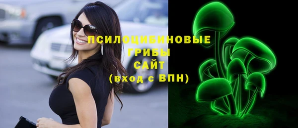 крисы Лабытнанги