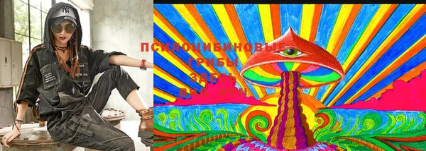 крисы Лабытнанги