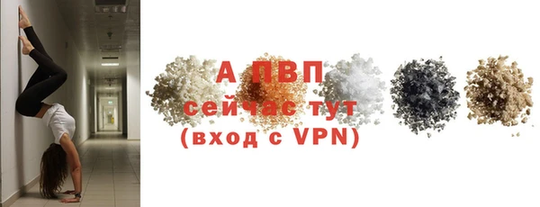 ешки Ладушкин