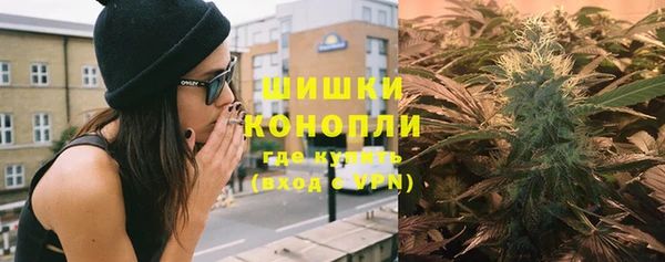 Альфа ПВП Осинники